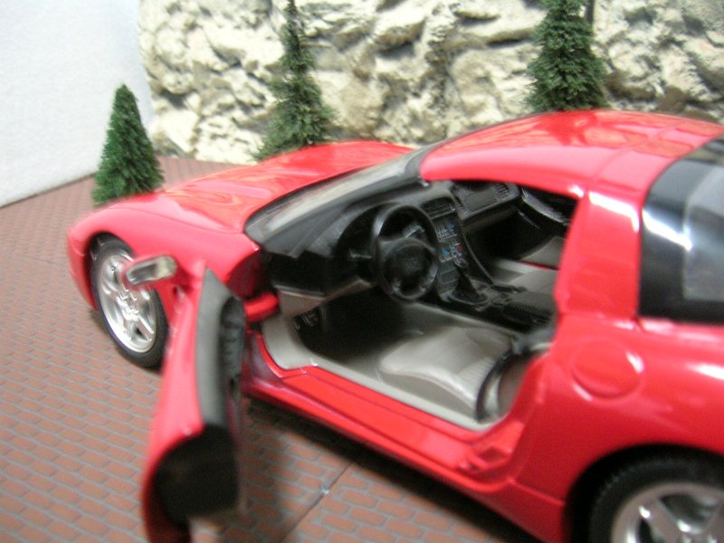 DSCN2666