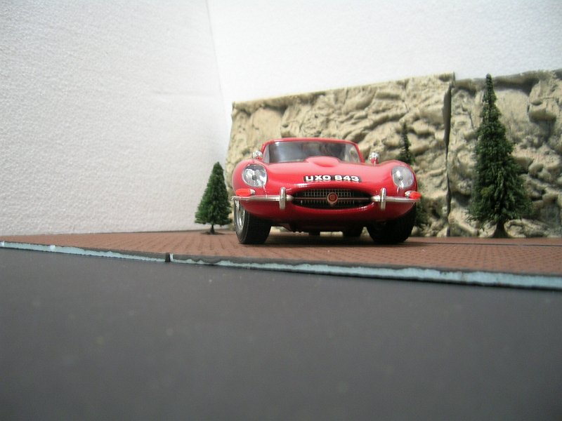 DSCN2681