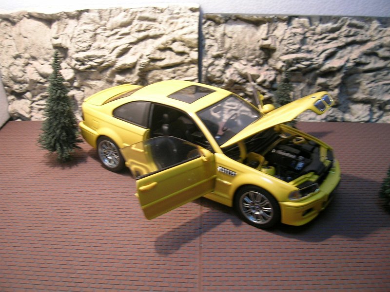 DSCN2699