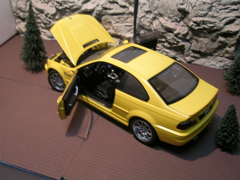 DSCN2701