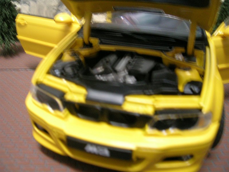 DSCN2709