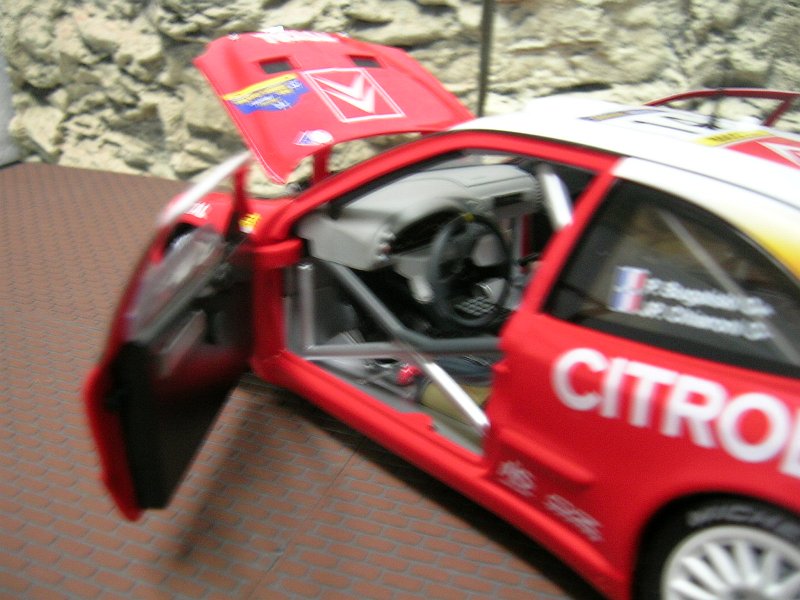 DSCN2736